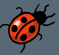 Bouton